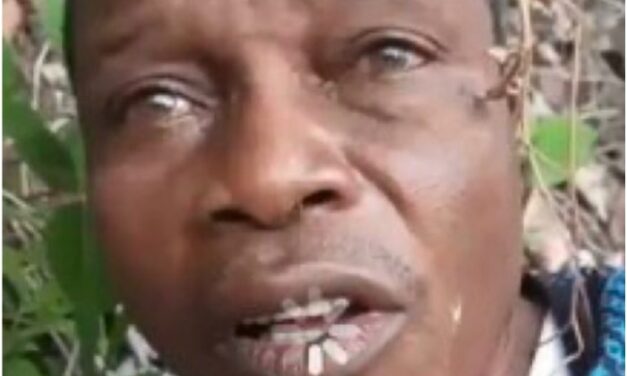 Gunmen Abduct 39 Children, 7 Teachers, Kill 2 Teachers in Oyo State
